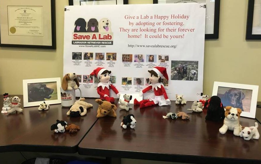 DiPrete Engineering's "Elves on the Shelf" helping to promote Save A Lab.